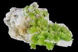 Vibrant Green Pyromorphite Crystal Cluster - China #128575-1